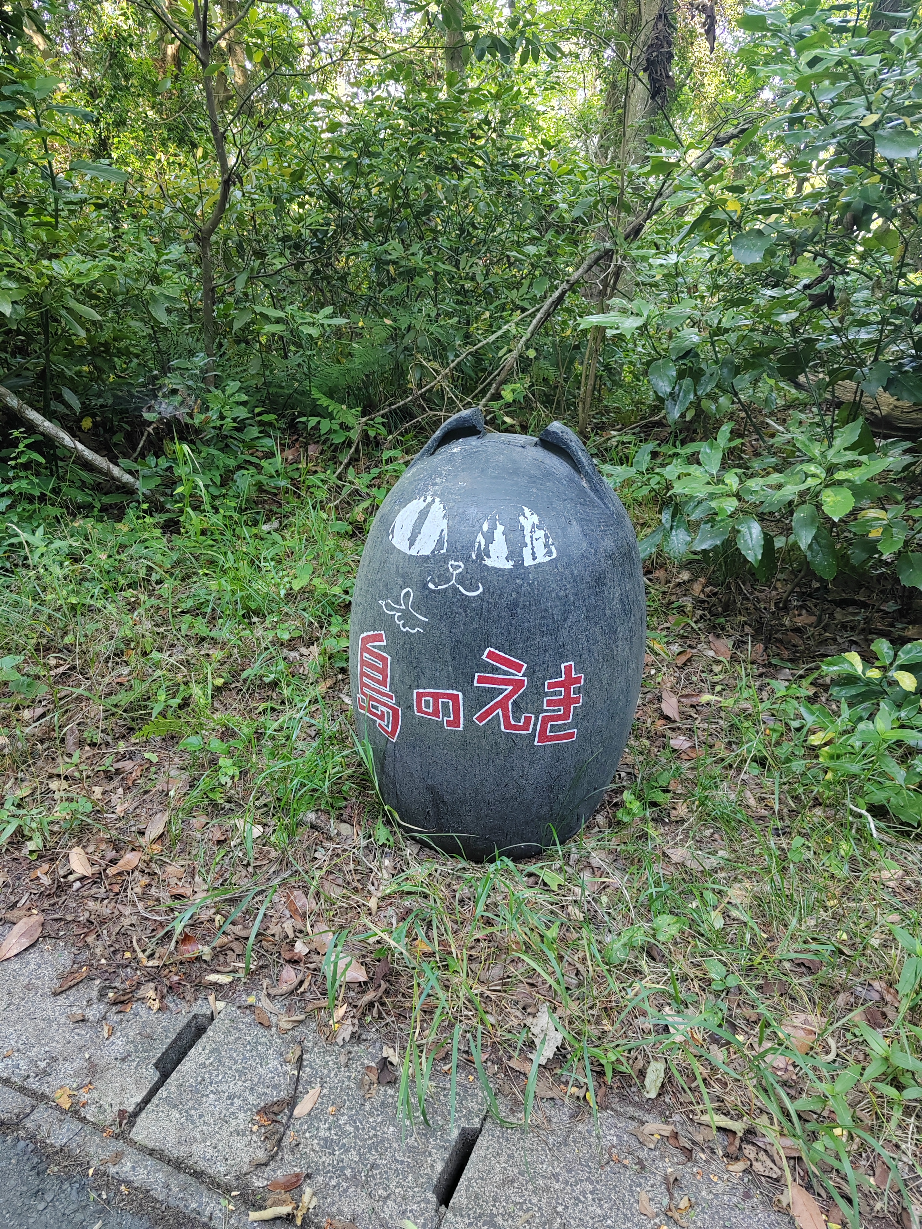 Útjelölő sziklamacska