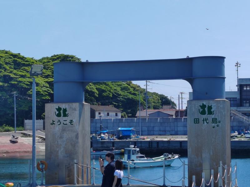 Featured image of post Cicagolás Tasirodzsimán