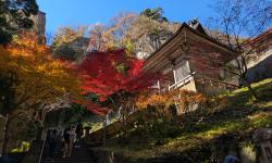 Featured image of post Jamaderai zarándokút