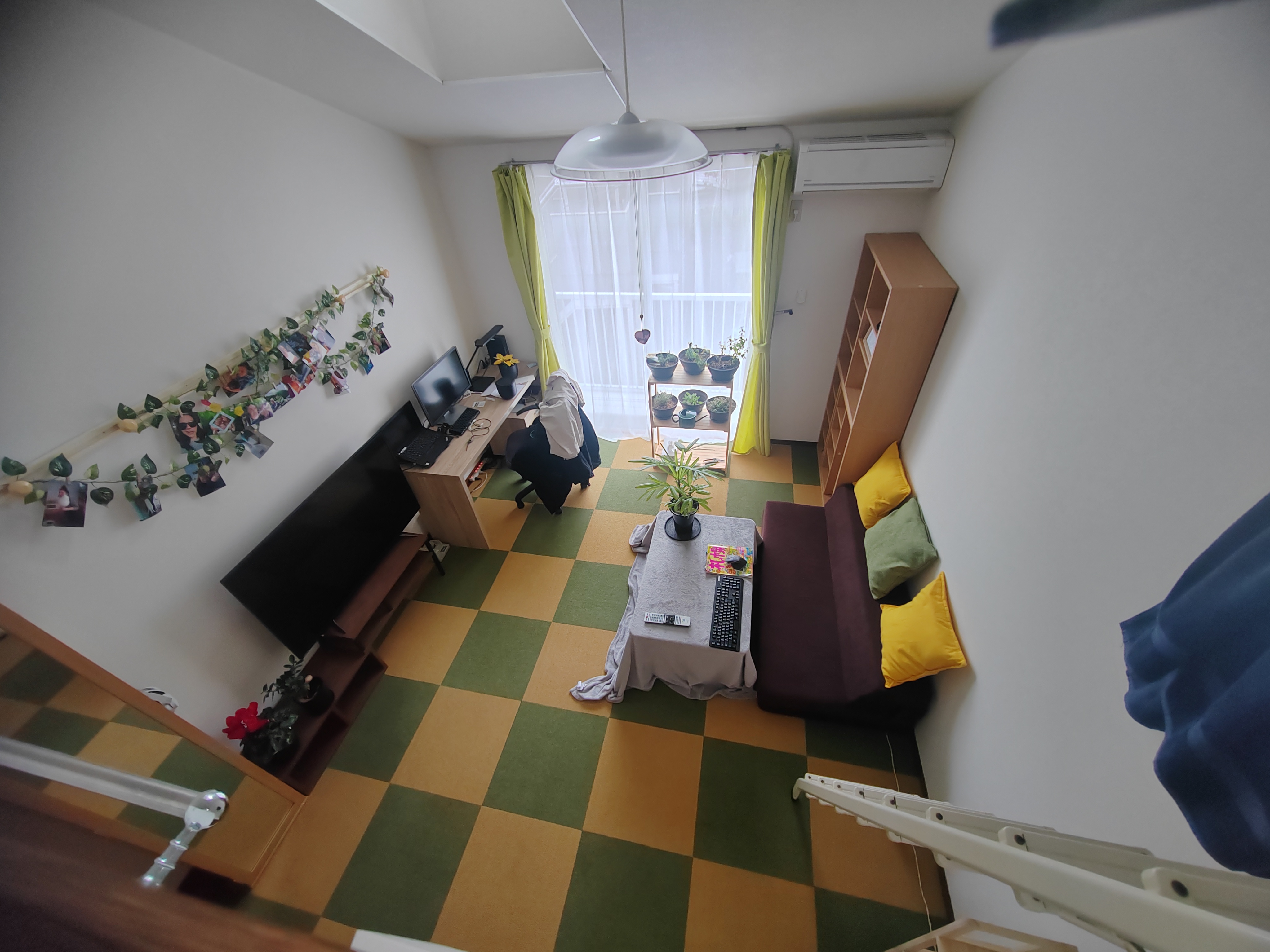 Kezd egész otthonossá válni a placc. A lepedős asztal alul fűtőszálas, szóval nagyon komfortosan átmelegít. Még egy nagyon tipikus japán találmány, kotacu a neve. Nem, Apa, továbbra sem kocacu. A növények pedig: A tévé mellett egy ciklámen és egy kislevelű fikusz, az íróasztalon egy mikulásvirág, a kotacun egy ajanisiki bambusz, a fűszerek pedig rozmaring, levendula, menta, kakukkfű, zsálya és oregánó