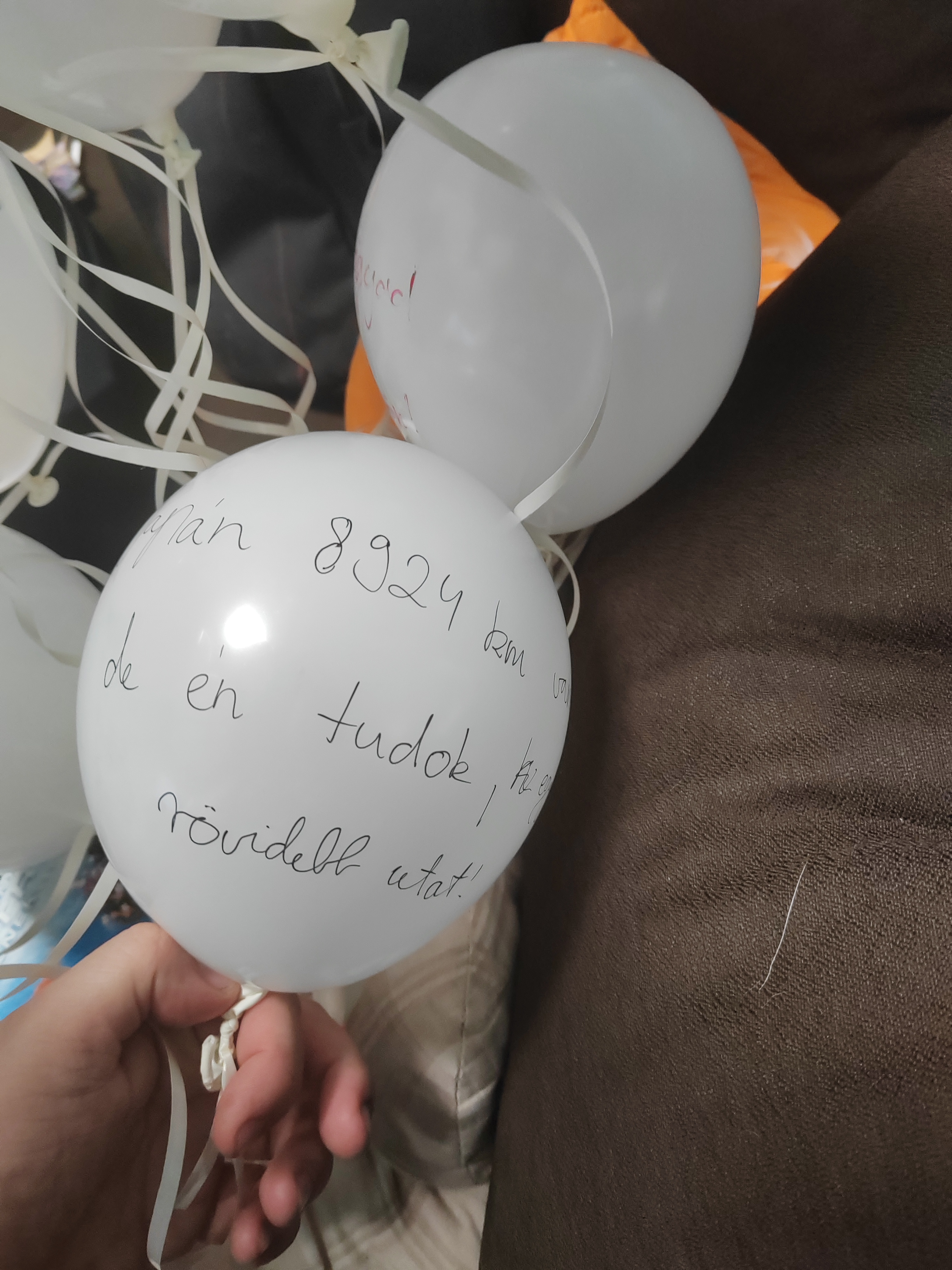 “Japán 8924 kilométerre van, de én tudok egy rövidebb utat!”